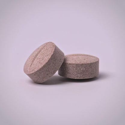 10-PACK | Mint Chocolate | 9.3mg Per Tablet