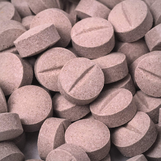 10-PACK | Mint Chocolate | 9.3mg Per Tablet
